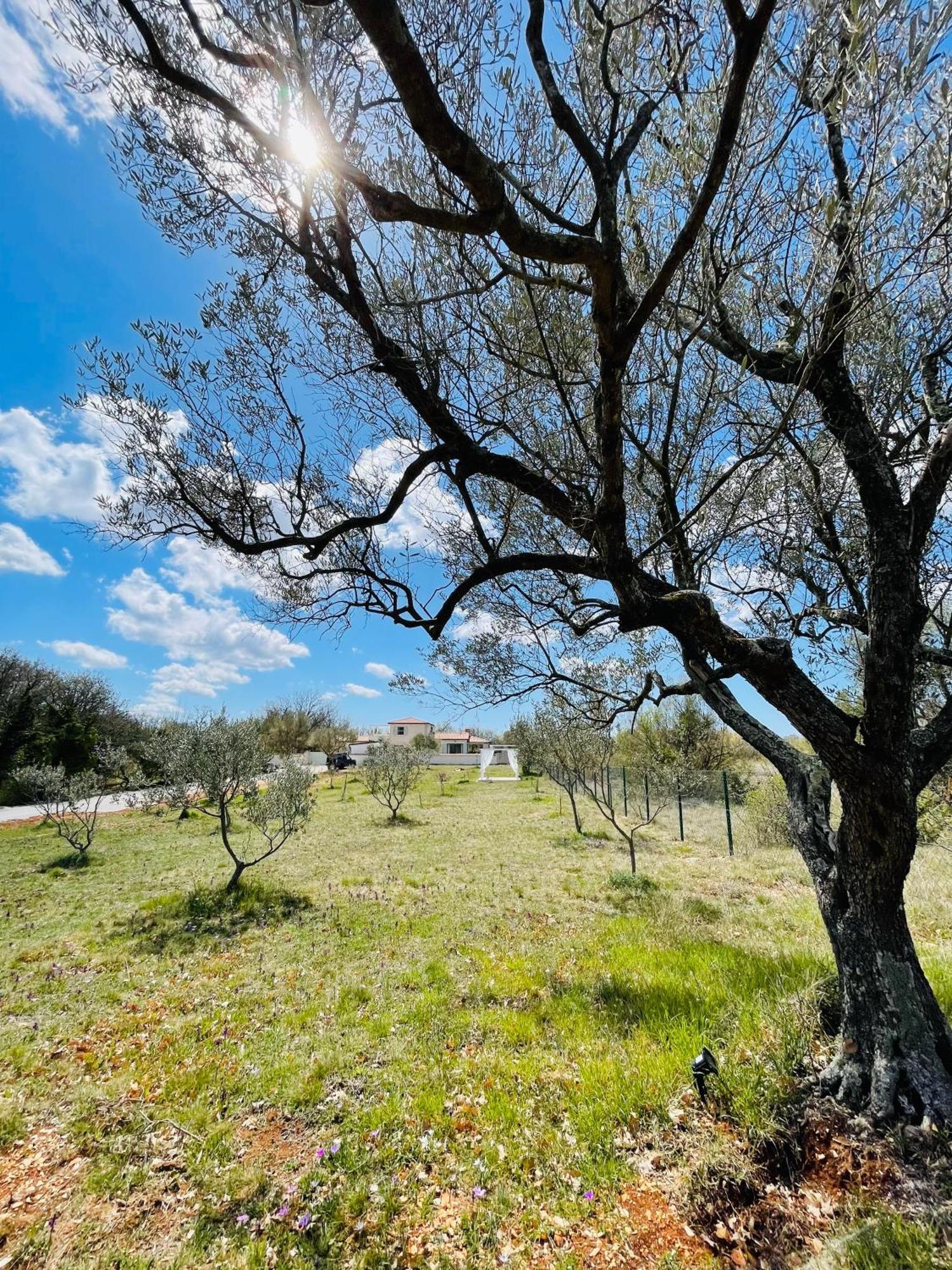 Luxury Villa In Istria - 9,000 Sqm Private Estate With Pool & Sauna, 15 Min To Sea, Near Fazana, 3 Bedrooms Juršići Екстериор снимка