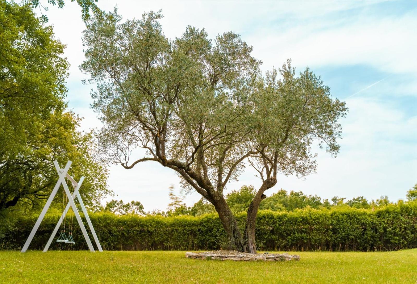 Luxury Villa In Istria - 9,000 Sqm Private Estate With Pool & Sauna, 15 Min To Sea, Near Fazana, 3 Bedrooms Juršići Екстериор снимка